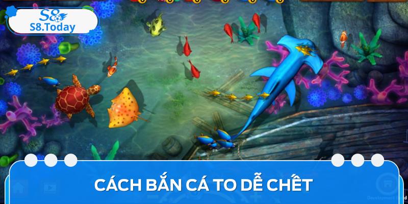 Bật Mí Các Cách Bắn Cá To Dễ Chết Hiệu Quả Nhất Cho Bạn 3 Bật Mí Các Cách Bắn Cá To Dễ Chết Hiệu Quả Nhất Cho Bạn